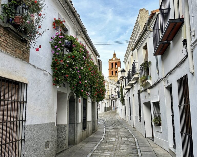 Zafra3